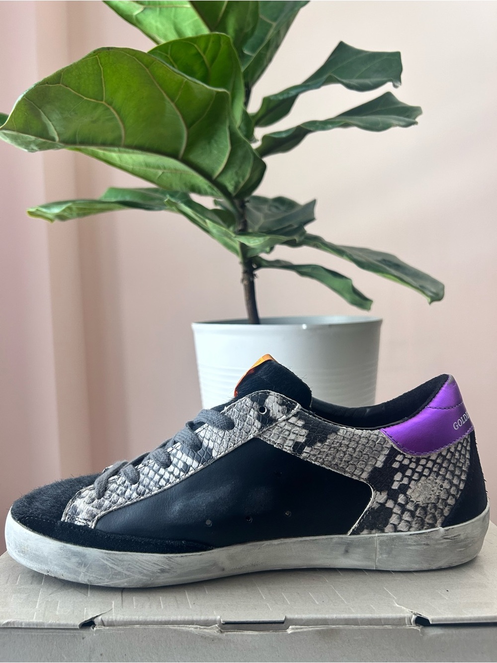 Golden Goose Black, Gray & Purple Low-Top Sneakers - Picture 2 of 5
